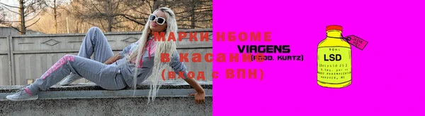 прущие грибы Бугульма
