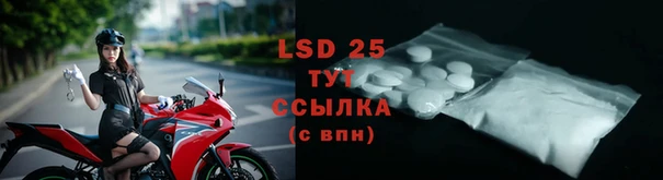 прущие грибы Бугульма