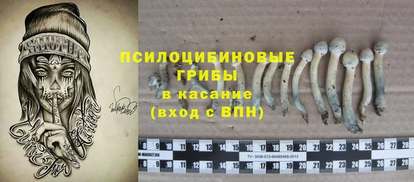 гашик Россошь