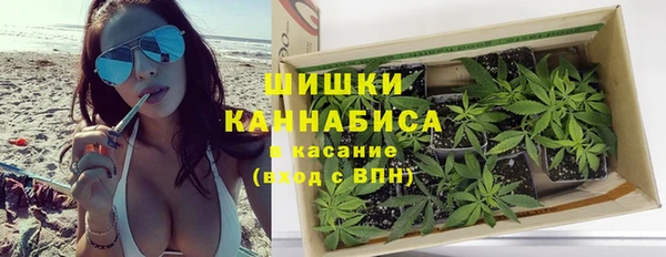 прущие грибы Бугульма
