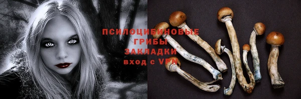 прущие грибы Бугульма